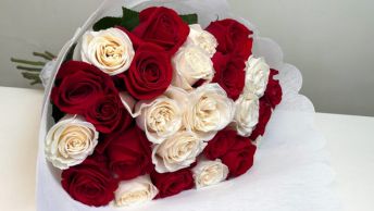 La Majestuosa Belleza Del Rojo Y Blanco