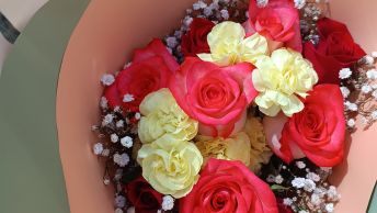 La Belleza De Rosas Y Claveles