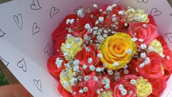 Explosion De Colores