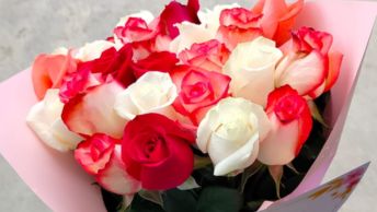 Melodia Floral