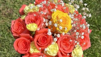 Rosas Vibrantes
