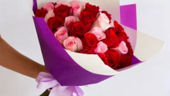 Sofisticacion Roja