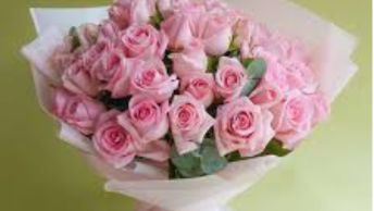 Encanto Rosado